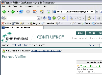 conf-user-bug.png