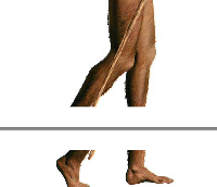 Screen Shot 2014-06-27 at 10.41.44 AM.png