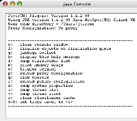Java Console.jpg