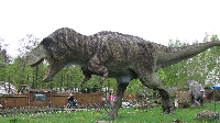 Tyrannosaurus-Rex.jpg