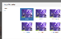 image-effects-bug.PNG
