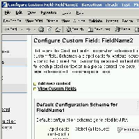 configure-custom-field-fieldname2.jpg