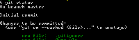 gitshell.PNG