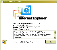 IE version.jpg