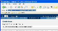 Jira CreateIssueDetails.jpg