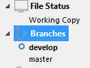 BranchesCheckout.PNG