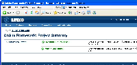 project summary.jpg