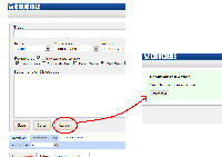bug!.png