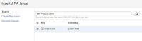 Jira Issue 2.jpg