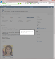 jira_issue_error_image.PNG