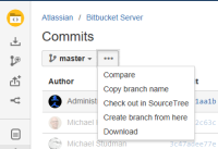 download-commits-action.png