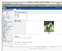 [#KEY-3] JRA-20342 resolution test - JIRA 4.0.2 Pre-release QA.png
