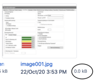 Screenshot 2021-01-19 at 12.12.32 PM.png