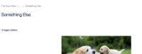 image-2021-07-28-18-24-41-734.png