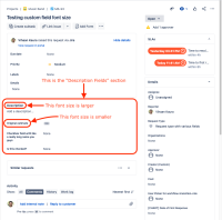 Issue view field font sizes.png