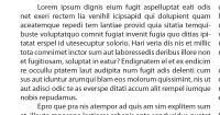 Lorem-Ipsum-example copy.png