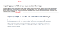 IMAGE PDF.png