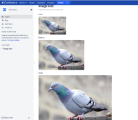 screenshot-confluence-page.png