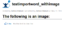 testimportword_withimage.DOCX.png