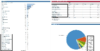 Jira 5.1.7 - Added GLOBAL To Identically Named Choices - Domain Issue Statistics - Two Dim Filter - Pie Chart Gadgets Incorrect Data and Duplicated Domains.JPG