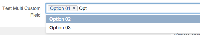 customfield.png